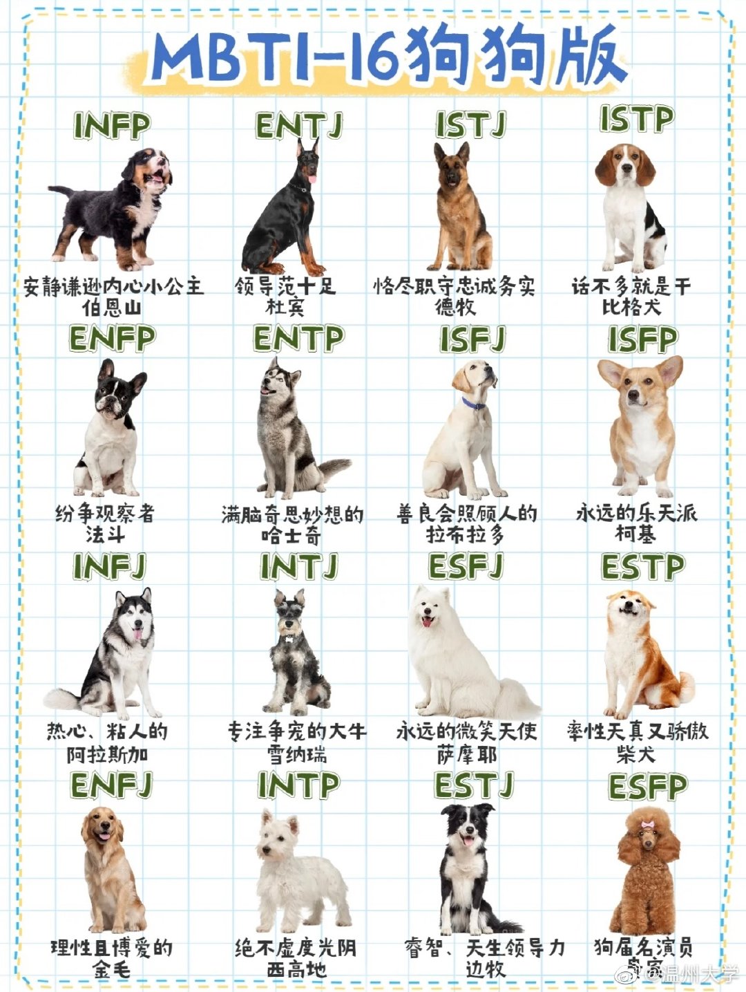 「人類版MBTI」就睇得多,你哋又幾熟悉你哋毛孩嘅性格呢?